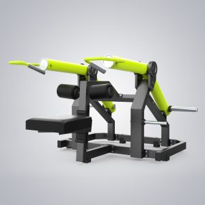 Seated Dip Y965Z