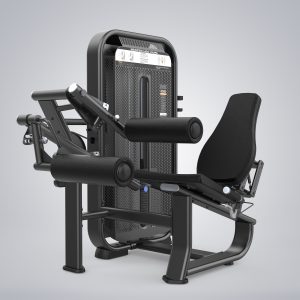 Seated Leg Curl E7023