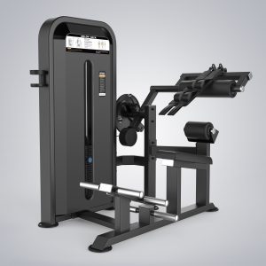 Abdominal & Back Extension U3088D