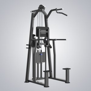 Dip Chin Assist U3009