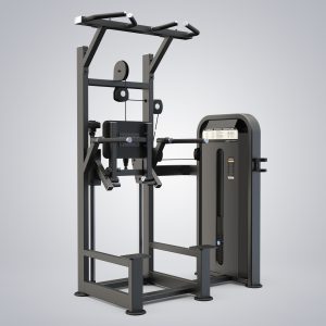Dip Chin Assist U3009D