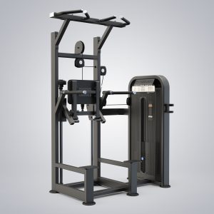 Dip Chin Assist U3009D-K