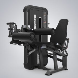 Leg Extension & Leg Curl U3086A