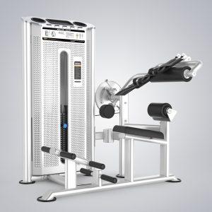 Abdominal & Back Extension U2088