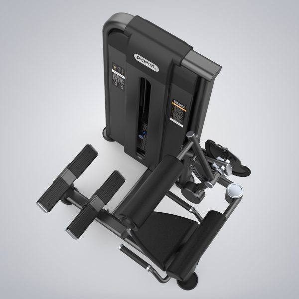 Back Extension U2031C - DHZ Fitness Equipment