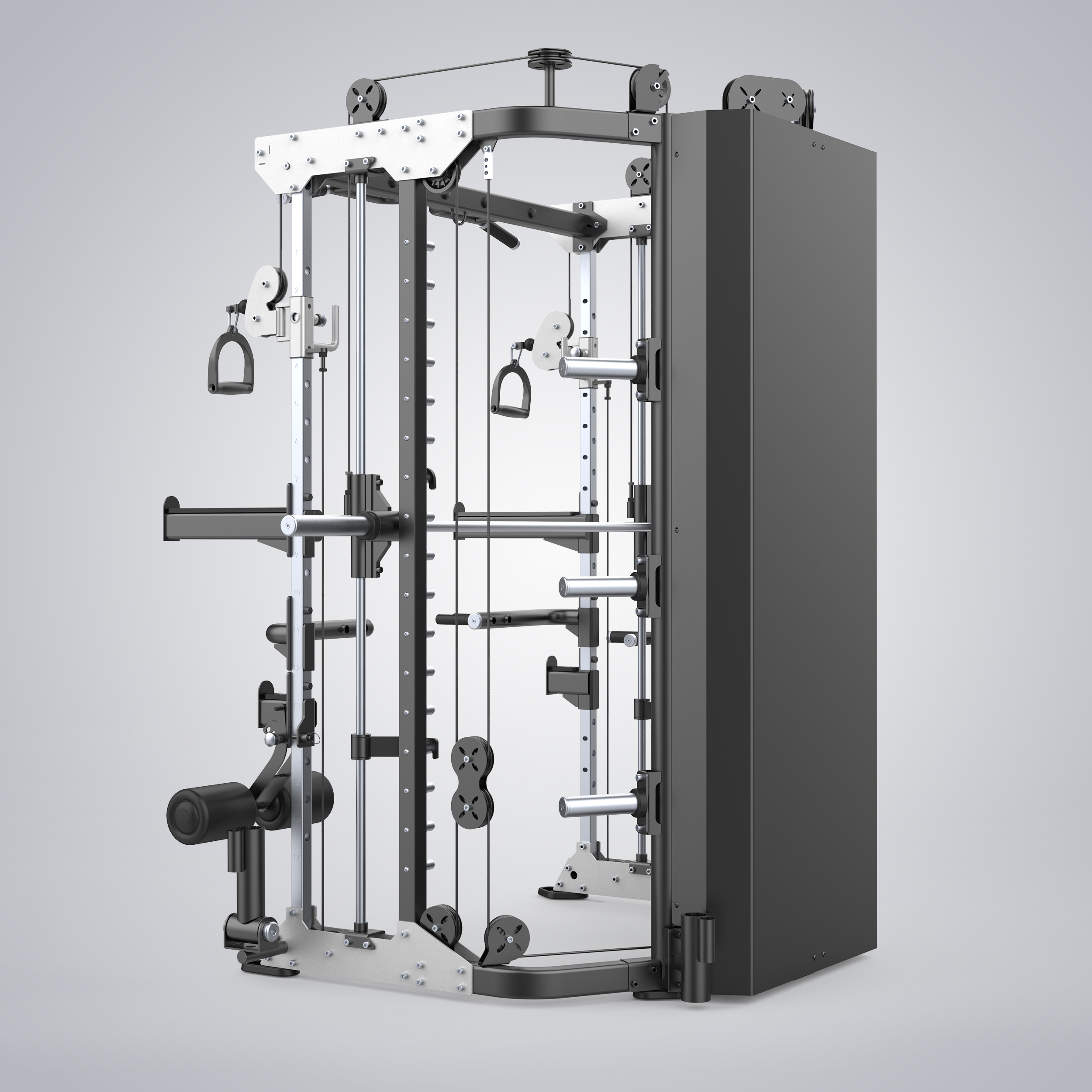 Functional Smith Machine E6247