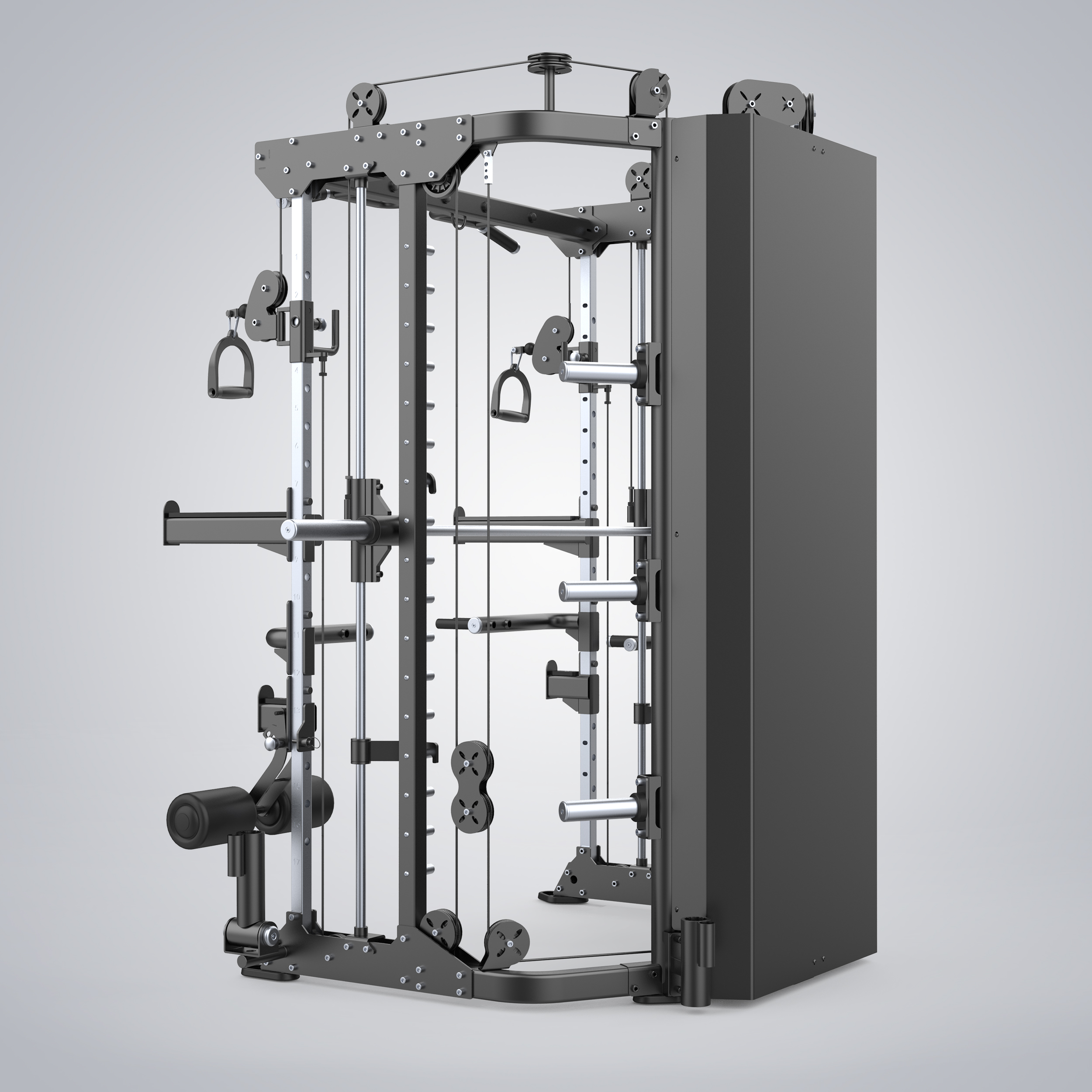 Functional Smith Machine E6247