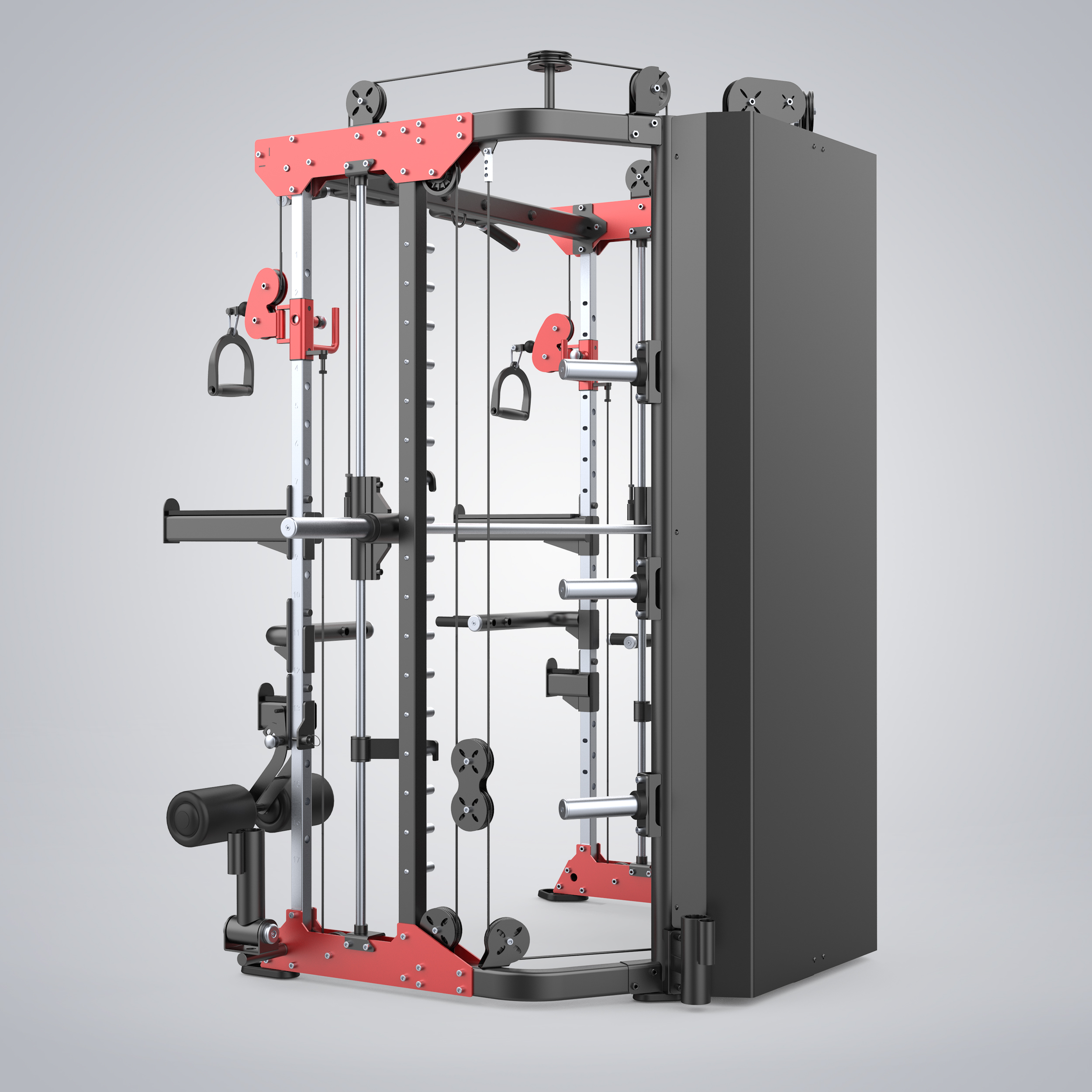 Functional Smith Machine E6247