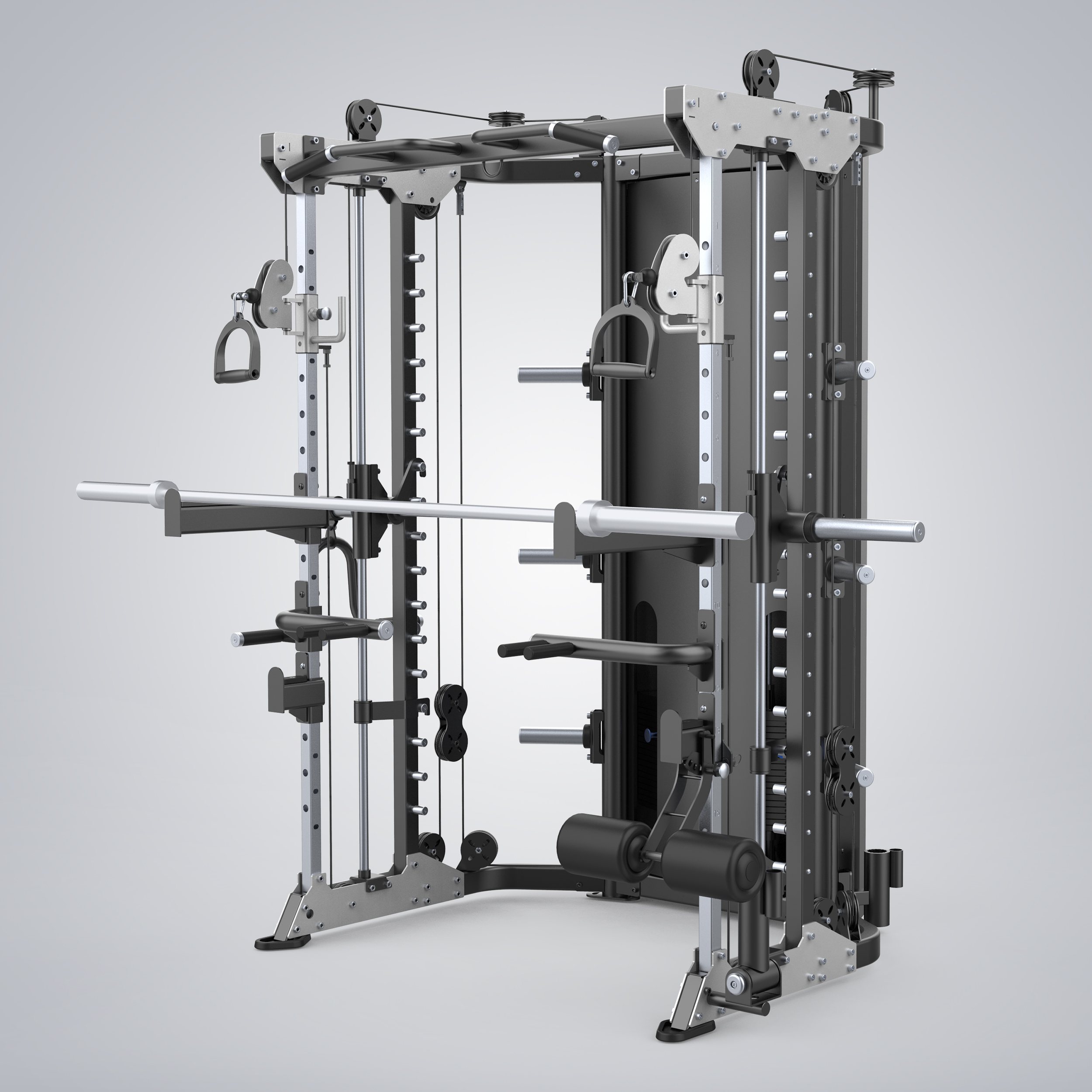 Functional Smith Machine E6247