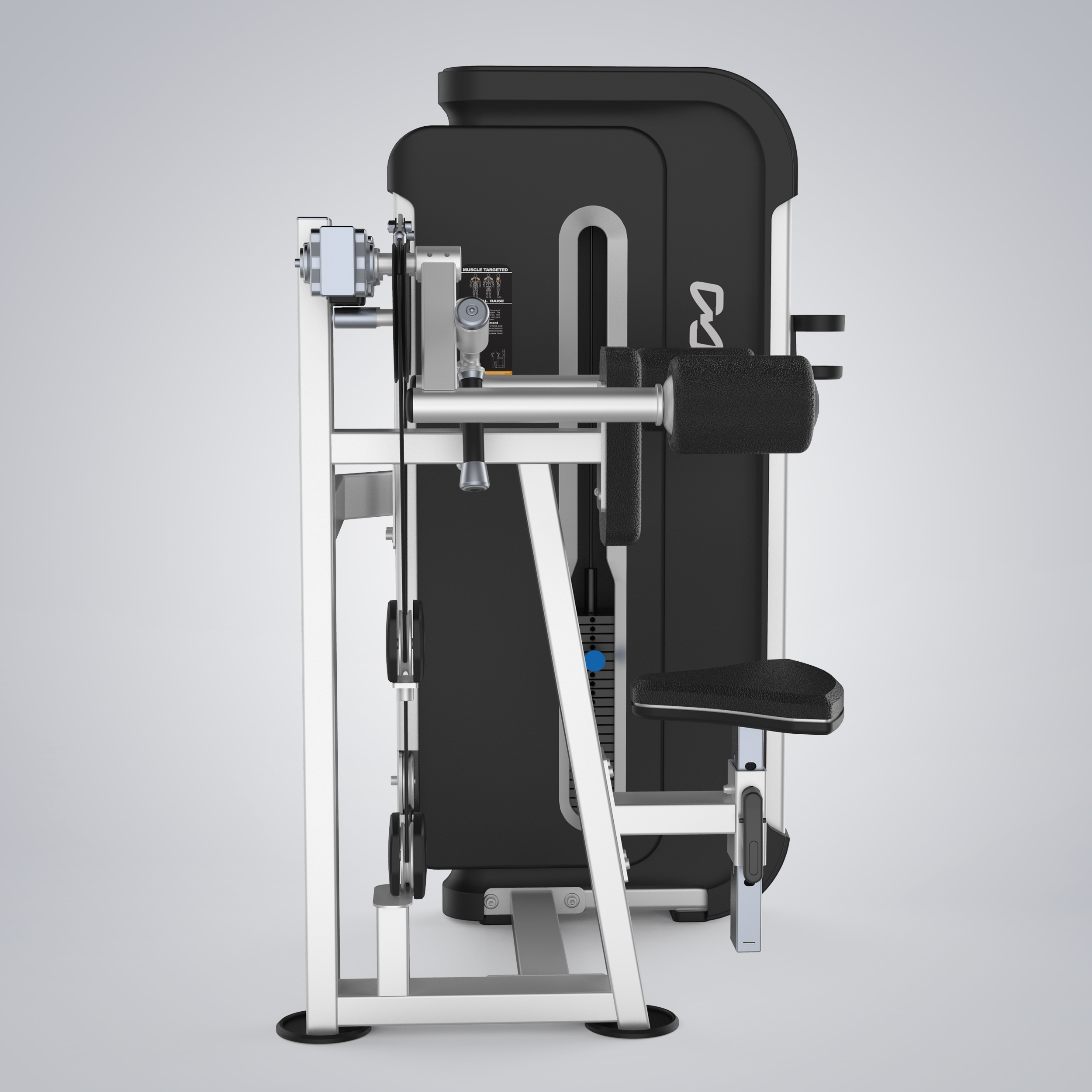 Lateral Raise H3005