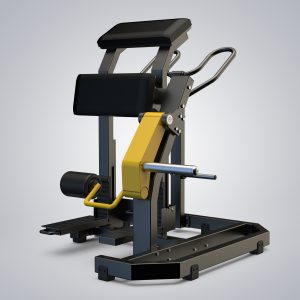 Standing Leg Curl D955Z