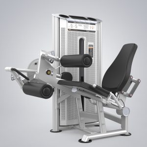 Leg Extension & Leg Curl U2086