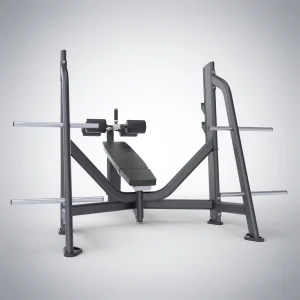 Olympic Decline Bench E7041